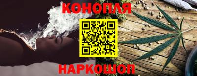 стафф Бийск