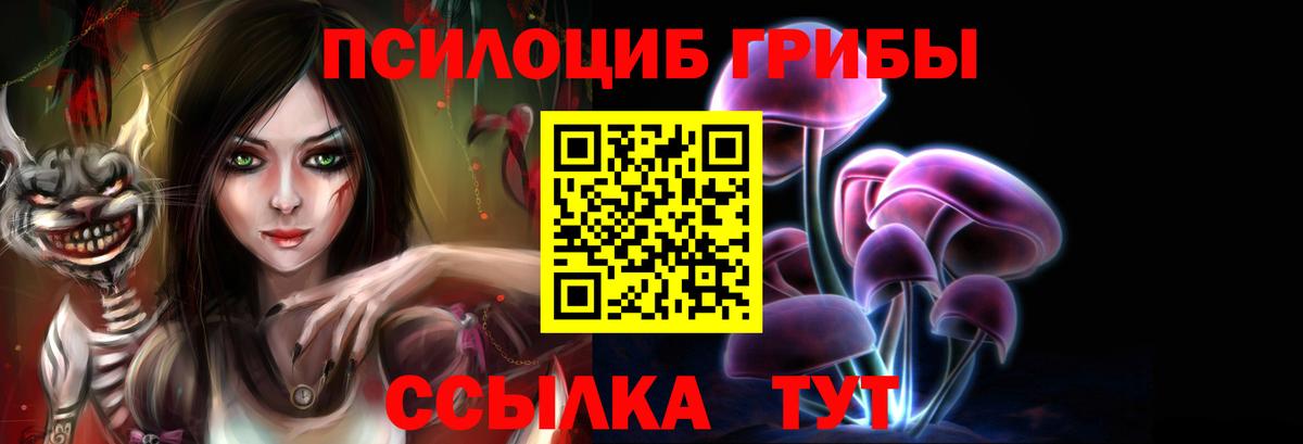 Ижевск  Галлюциногенные грибы прущие грибы  Вход с VPN 